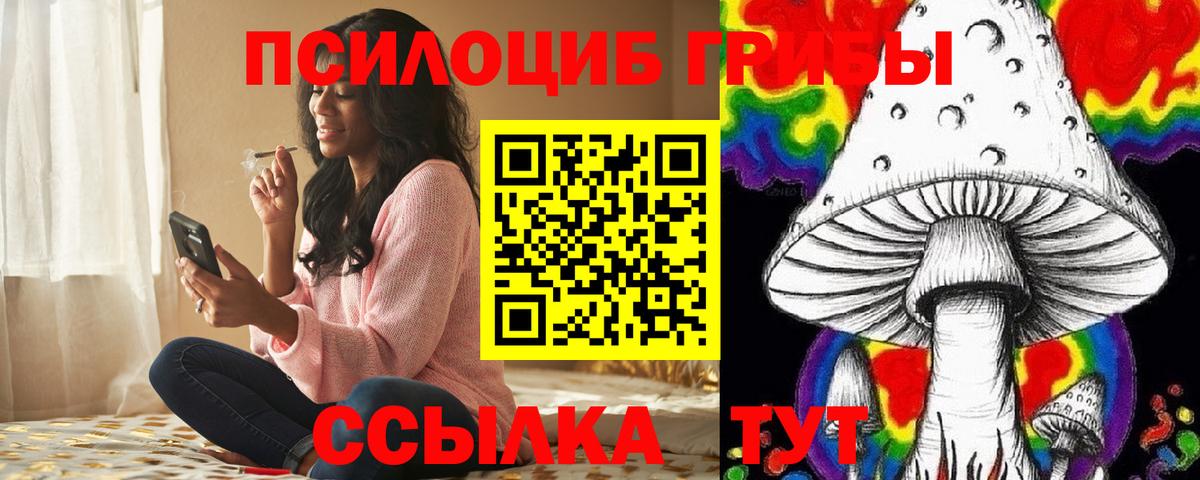 Галлюциногенные грибы GOLDEN TEACHER  Вход с VPN  Галлюциногенные грибы прущие грибы  Кириши 