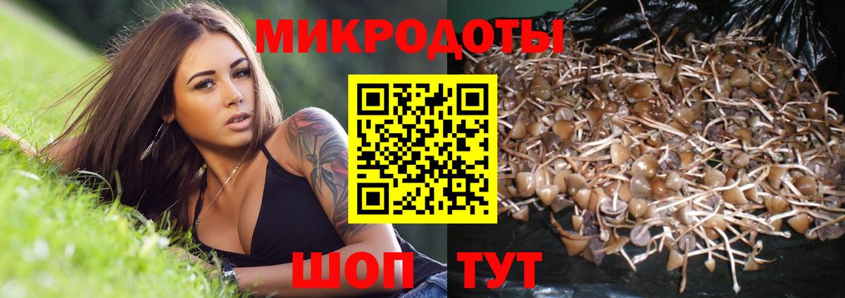 Галлюциногенные грибы GOLDEN TEACHER Кириши