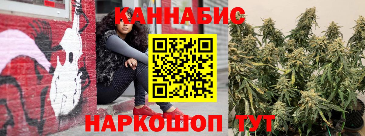 Каннабис конопля Кириши